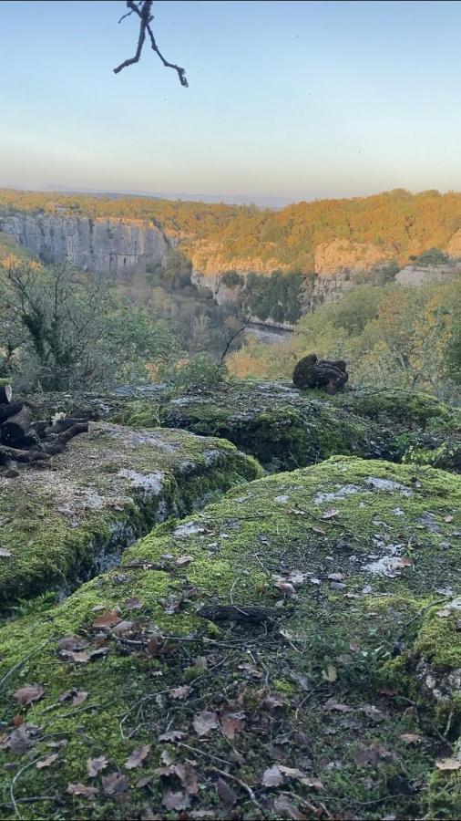 Gites Des Falaises De La Beaume 拉博姆 外观 照片